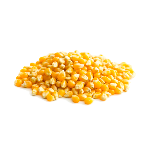 Gresam Pop corn /Mais 900g - USA
